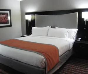 Photo 4 - Holiday Inn Express & Suites Nashville Southeast - Antioch by IHG