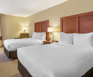 Photo 5 - Comfort Inn Quantico