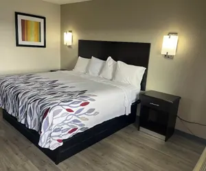 Photo 4 - Red Roof Inn Kimball, TN - I-24