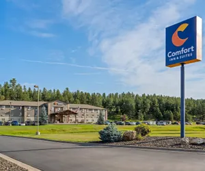 Photo 2 - Comfort Inn And Suites Custer
