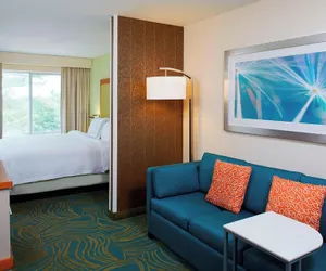 Photo 5 - Springhill Suites By Marriott Atlanta Six Flags