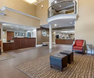 Photo 4 - Comfort Suites Myrtle Beach Central