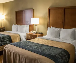 Photo 5 - Quality Inn