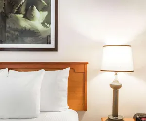 Photo 5 - La Quinta Inn & Suites by Wyndham Orlando South