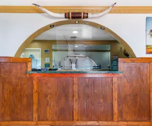 Photo 3 - Econo Lodge Inn & Suites Near Lackland AFB