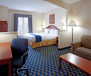 Photo 5 - Holiday Inn Express & Suites Orangeburg