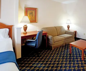 Photo 3 - Holiday Inn Express & Suites Orangeburg