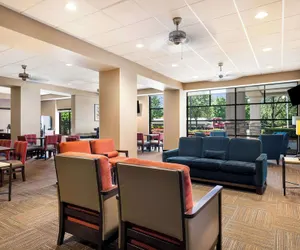 Photo 4 - Comfort Suites Northlake
