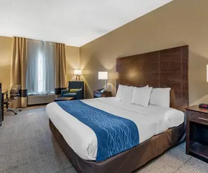 Photo 2 - Comfort Inn & Suites Bryant - Benton