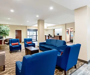 Photo 3 - Comfort Inn & Suites Pine Bluff