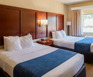 Photo 3 - Comfort Inn North - Air Force Academy Area