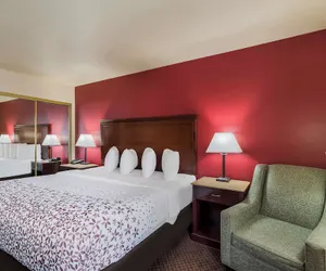 Photo 5 - SureStay Plus Hotel by Best Western Silver City