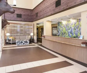 Photo 4 - SpringHill Suites Dallas Downtown / West End