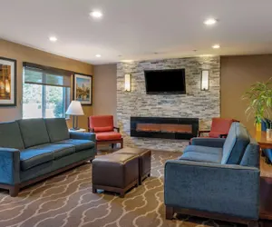 Photo 5 - Comfort Inn Romeoville - Bolingbrook