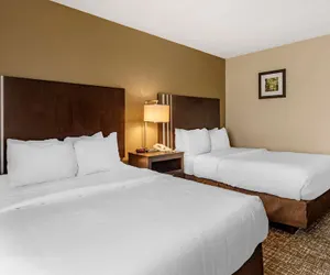 Photo 2 - Comfort Inn Paducah I-24