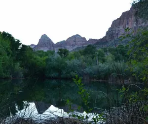 Photo 3 - Springdale Zion Inn