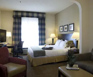 Photo 3 - Holiday Inn Express Atlanta - Emory University Area, an IHG Hotel