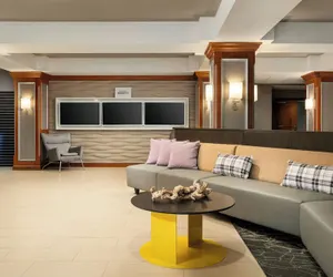 Photo 3 - SpringHill Suites by Marriott Tampa Westshore Airport