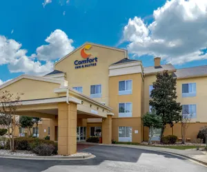 Photo 2 - Comfort Inn & Suites