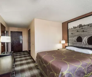 Photo 5 - Super 8 by Wyndham Campbellsville KY