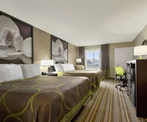 Photo 5 - Super 8 by Wyndham Tupelo Airport