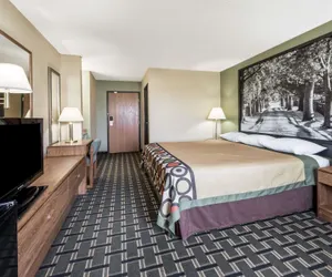 Photo 4 - Super 8 by Wyndham Greenville