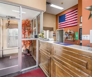 Photo 3 - Econo Lodge Selmer