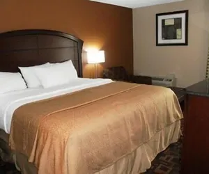 Photo 5 - Quality Inn & Suites Arden Hills - Saint Paul North
