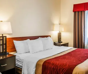 Photo 2 - Comfort Inn Avon-Indianapolis West