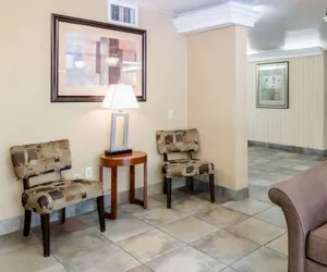 Photo 5 - Quality Inn Chicopee - Springfield