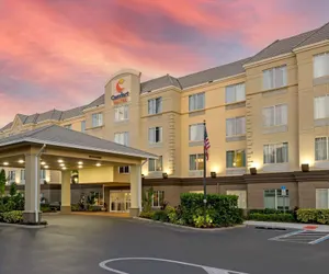 Photo 2 - Comfort Suites Near Universal Orlando Resort