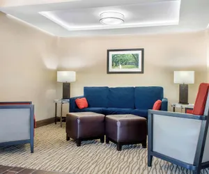 Photo 4 - Comfort Inn & Suites Covington - Mandeville