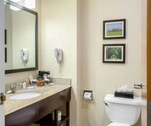 Photo 4 - Comfort Inn & Suites Covington - Mandeville