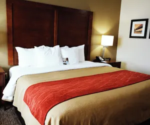 Photo 5 - Comfort Inn & Suites Covington - Mandeville