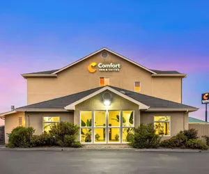 Photo 2 - Comfort Inn & Suites Redwood Country