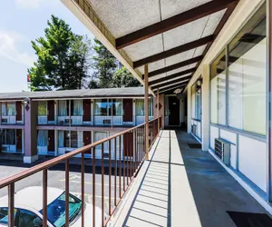 Photo 5 - Edyn Hotel By Townhouse Wytheville US 52
