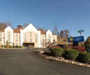 Photo 2 - Comfort Inn Pittsburgh