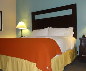 Photo 3 - Holiday Inn Express Kansas City-Bonner Springs by IHG