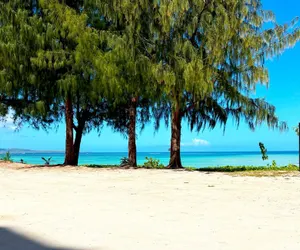 Photo 2 - Aquarius Beach Tower