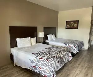 Photo 4 - Red Roof Inn & Suites Lake Orion/ Auburn Hills
