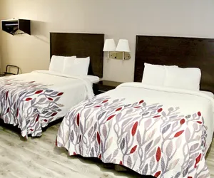 Photo 3 - Red Roof Inn & Suites Lake Orion/ Auburn Hills