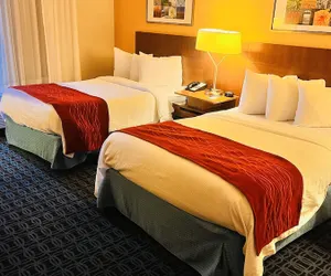 Photo 5 - Comfort Inn & Suites Berea