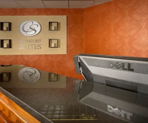 Photo 3 - Comfort Suites Dulles Airport