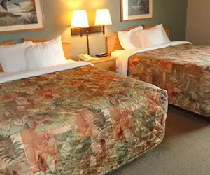 Photo 5 - Rodeway Inn