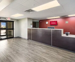 Photo 5 - Red Roof Inn & Suites Austin East - Manor