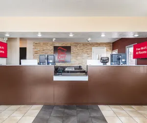 Photo 3 - Red Roof Inn Phoenix - Midtown