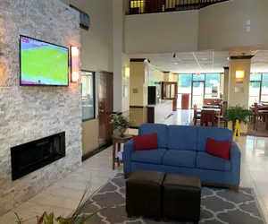 Photo 5 - Comfort Suites Bush Intercontinental Airport