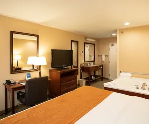 Photo 5 - Comfort Inn Traverse City