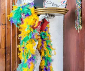 Photo 5 - Historic Mardi Gras Inn