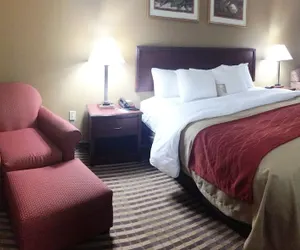 Photo 4 - Comfort Inn New River